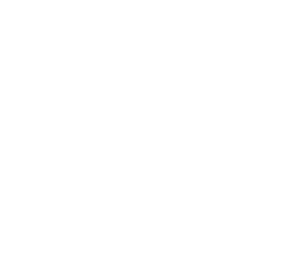 najwyższej jakości certyfikowane drewno